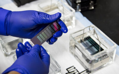 ORA LIMS Year 3 Task Order Award